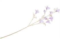 Coco Maison COCO MAISON accessoire Bauhinia Branch H115cm kunstbloem